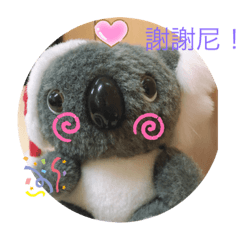 小無尾熊的喜怒哀樂