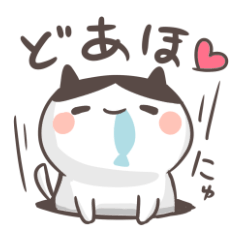 Friendly Kansai cat