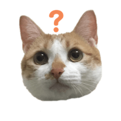 我是瓜瓜，瓜瓜是我