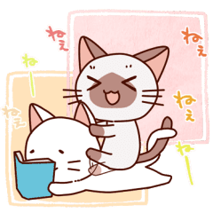 Siamese Chan Request Line Stickers Line Store Siamese Chan Request Line Stickers Line Store