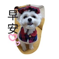 黃樂樂有話要說