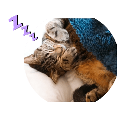 saori_20200325232401