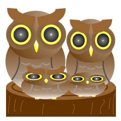 Owl Owl