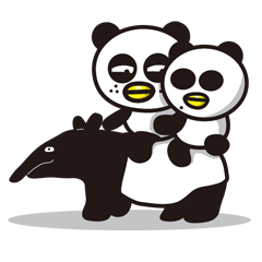 Two Little Pandas