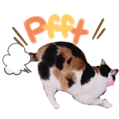 saori_20200326021939