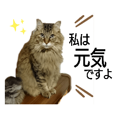 yamada_20200326012059