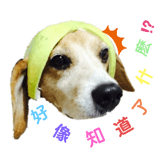就要
