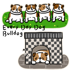 Every Day Dog Bulldog