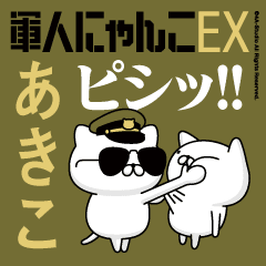 "AKIKO"name-Movie Military cat