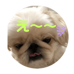 SATOSHI_202003261229131