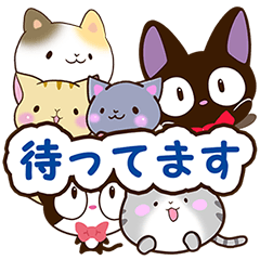 6 cute cats! (Meeting version)