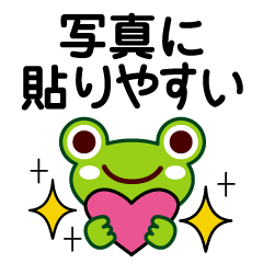 Photogenic-Frog Sticker