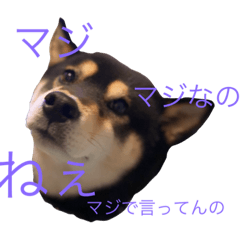 smile_20200326141124