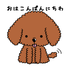 hana_20200323233138