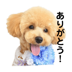 ayumi_20200326153125