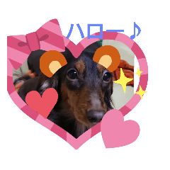 cocoa_20200326173038