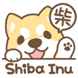 Shiba Inu collection!