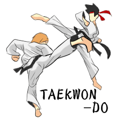 Everyday Taekwondo