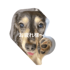 KAYO_20200325