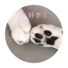 HANA_20200325161818