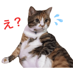 seira_20200326225935