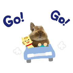 うちの子シリーズ『うさぎのぷりんちゃん』