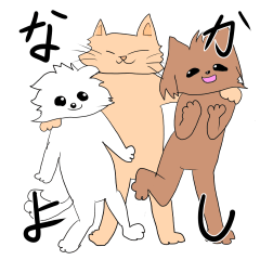 I love a dog and a cat