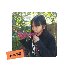 ㄍㄧㄣ來ㄇㄨㄟˋ