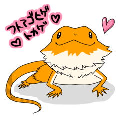 フトアゴヒゲトカゲのスタンプ Line スタンプ Line Store フトアゴヒゲトカゲのスタンプ Line スタンプ Line Store