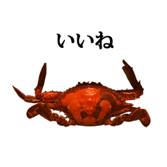 Boiled crab 2