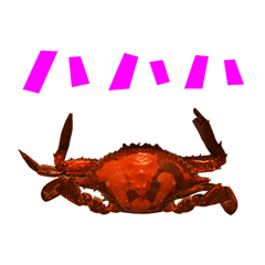 Boiled crab 6