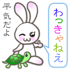 Lovely Rabbit & Turtle from Gumma