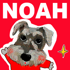 NOAH Aset