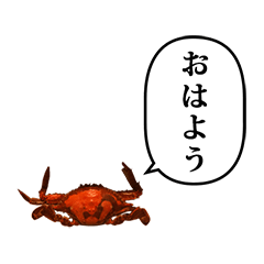 Boiled crab 7