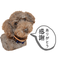 kayo_20200327110039
