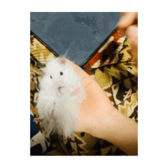 ryuki_20200327112202