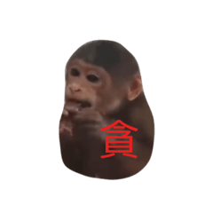 猴子 度 4