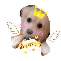 nozomi_20200327163320