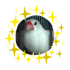 buntyou 2