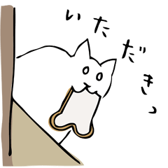 White eyed cat