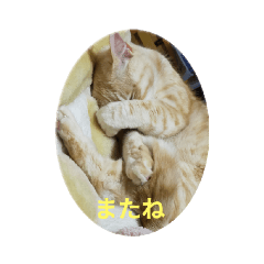 JUN 1112