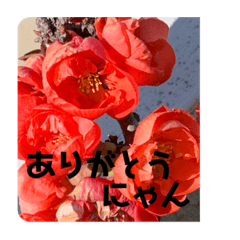 Tono_20200326170645