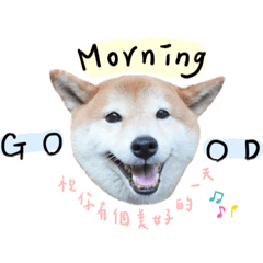 柴犬妞妞第二彈