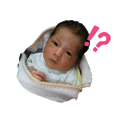 兔寶生活picture 3