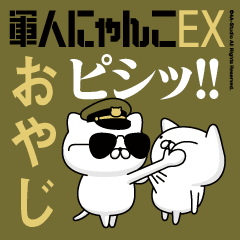 "OYAJI"name/Movie Military cat