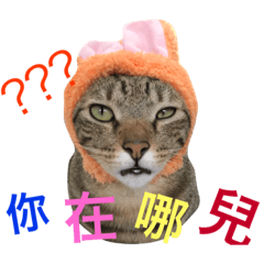 寶貝&寵物