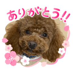 michiko_20200328084257