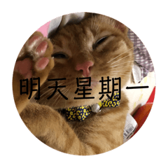 你好我是厭世巴