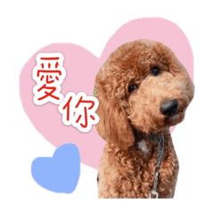 雙B生活日常
