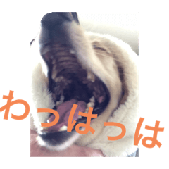 aoi_20200328131932